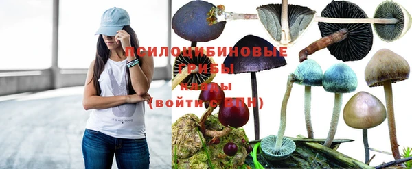 кокаин Алексеевка