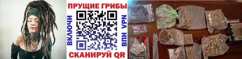 Псилоцибиновые грибы мухоморы  Электрогорск 
